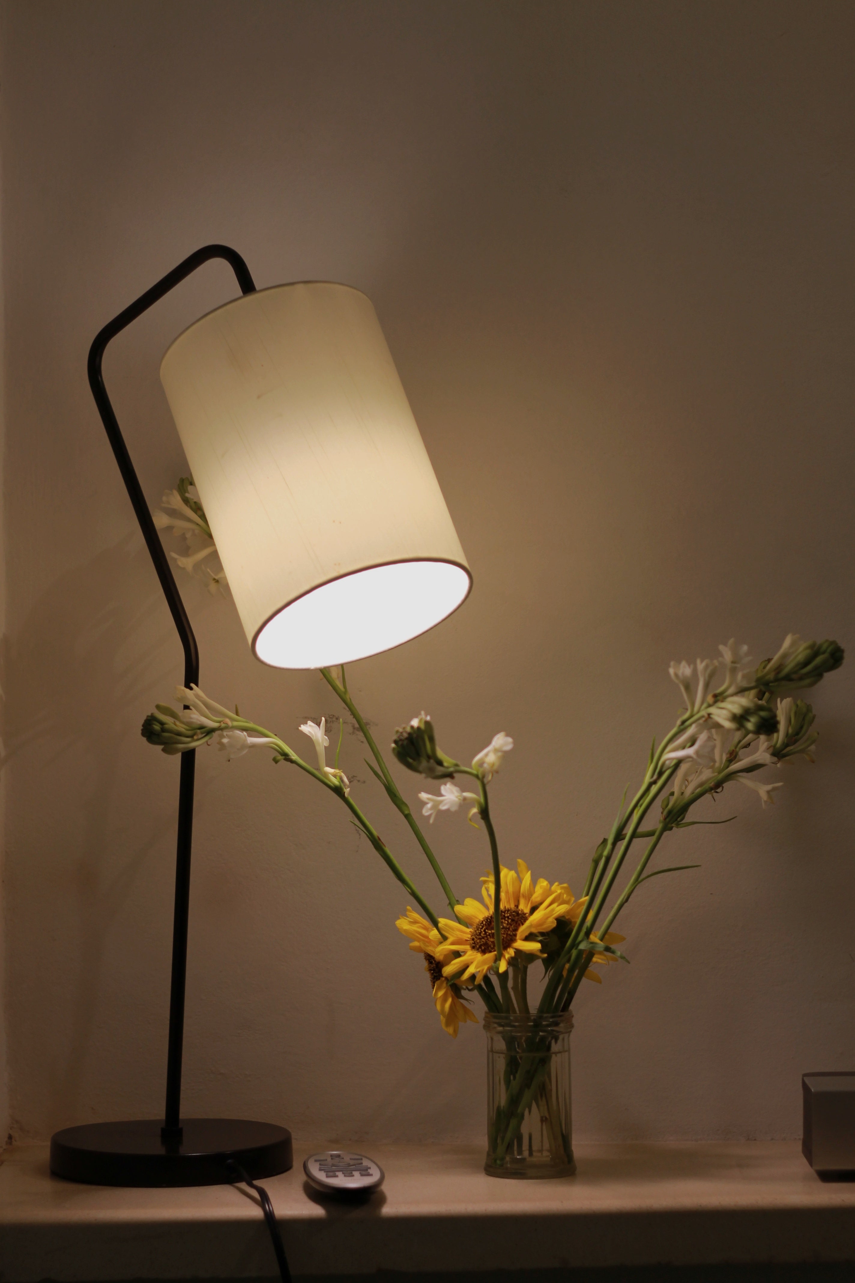 Verona Arch Lamp