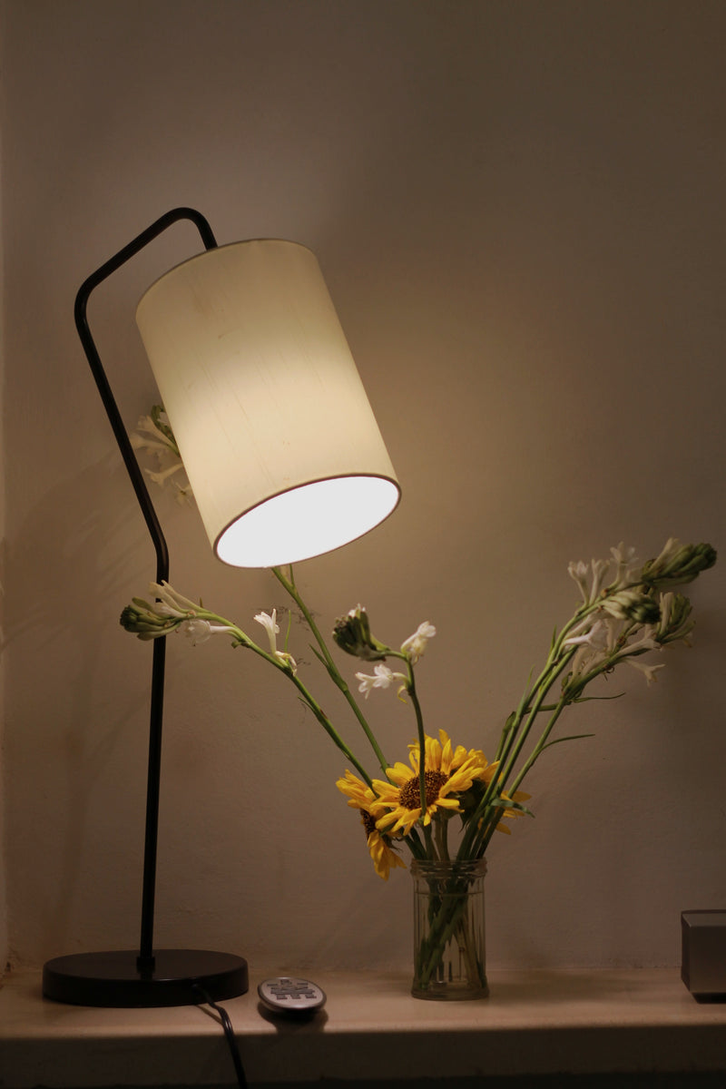 Verona Arch Lamp